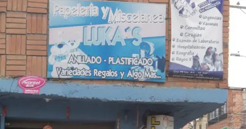 PAPELERIA Y MISCELANEA LUKAS PAPELERIA Y MISCELANEA LUKAS